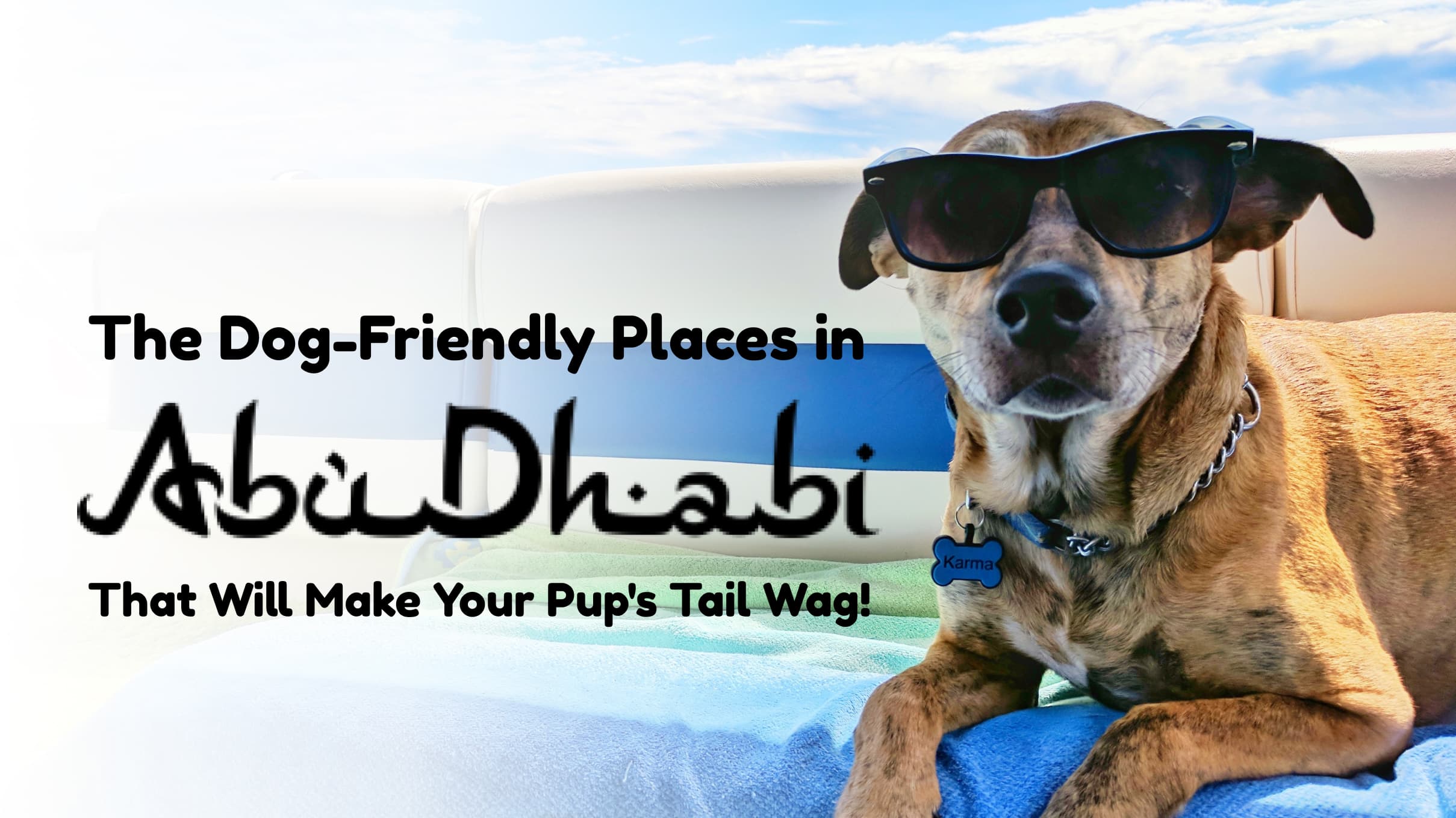 The DogFriendly Places in Abu Dhabi That Will Make Your Pup's Tail Wag